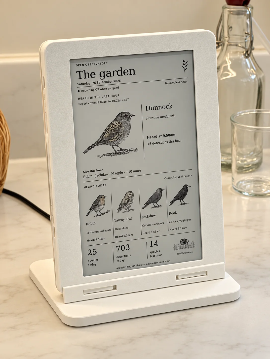 Garden Ink in its white printed frame on the kitchen counter, showing an illustrated dunnock and the day's other bird detections on its e-ink display.
